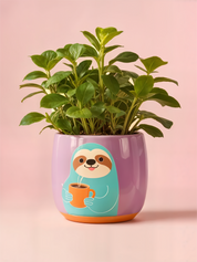 Slow Brew Planter