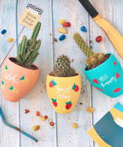 Summer Planter (Set of 3)