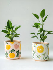 Citrus Charm (Set of 3)