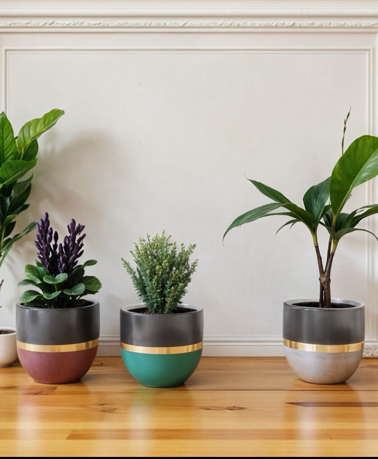 Majestic Arc (Set of 5)