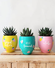 Summer Planter (Set of 3)
