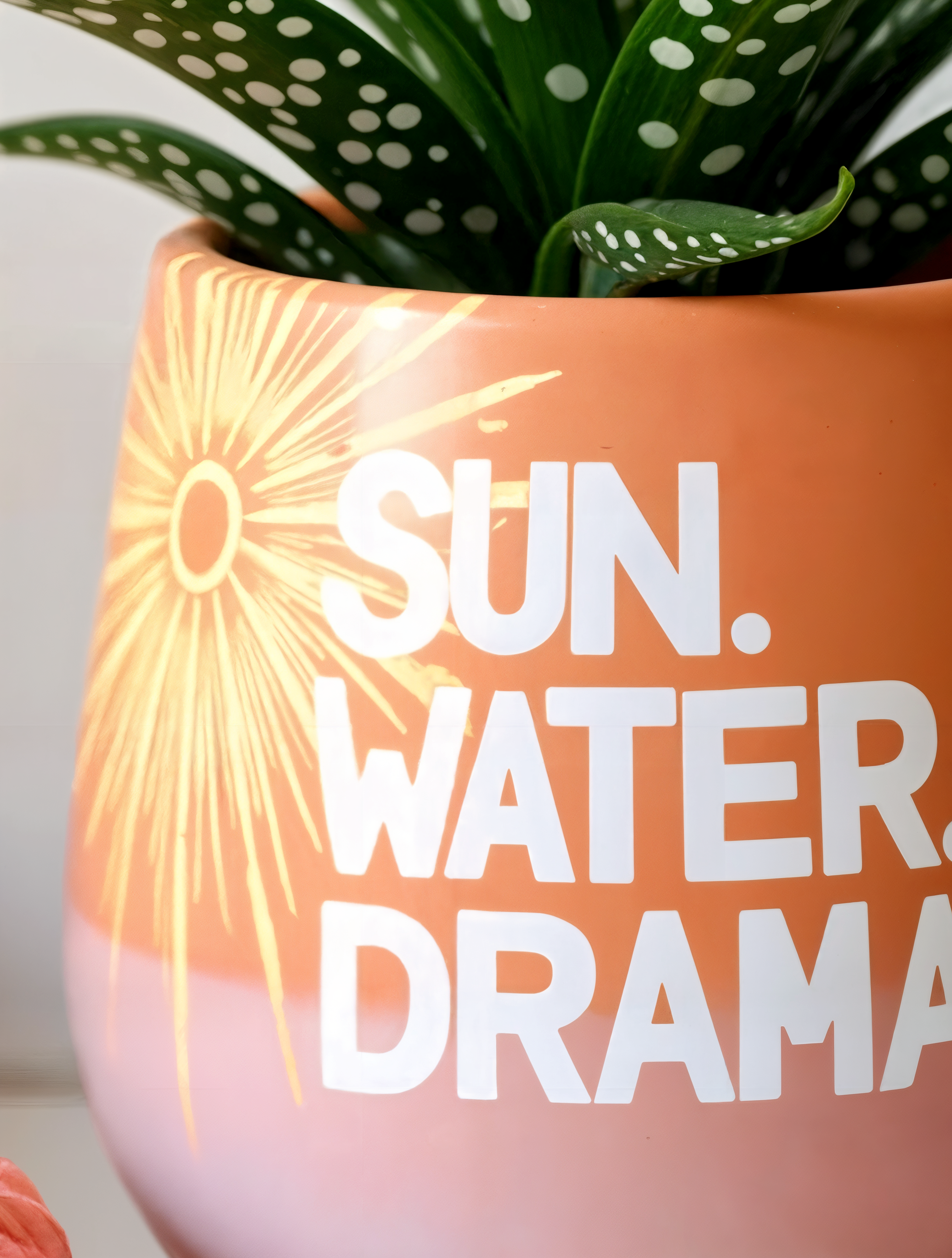 Sun. Water. Drama.