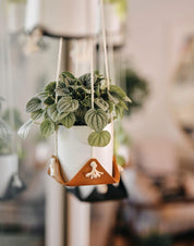 Designer Sling Hanger