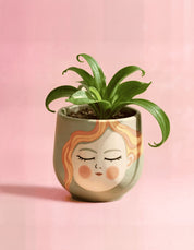 Daydreamer Planter