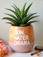 Sun. Water. Drama.