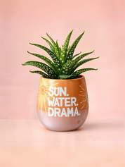 Sun. Water. Drama.