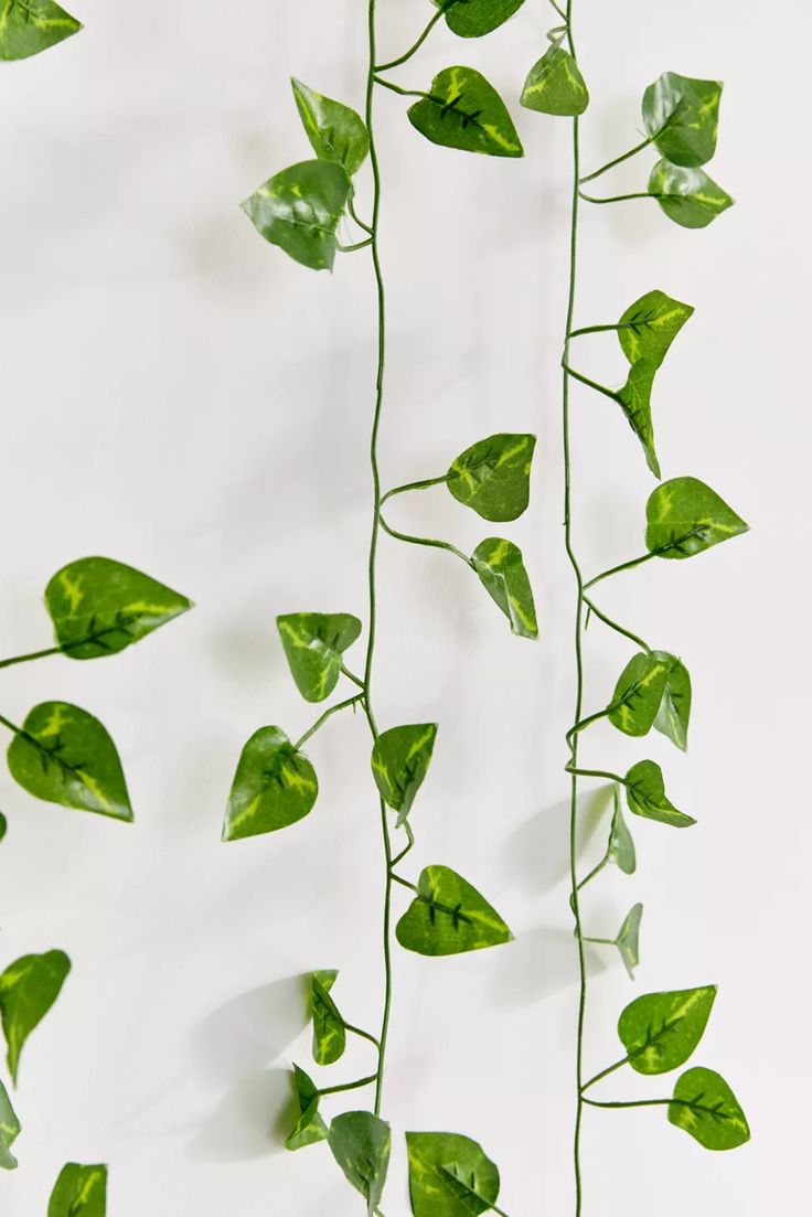 Greenflow Silk Vines (Set of 3)